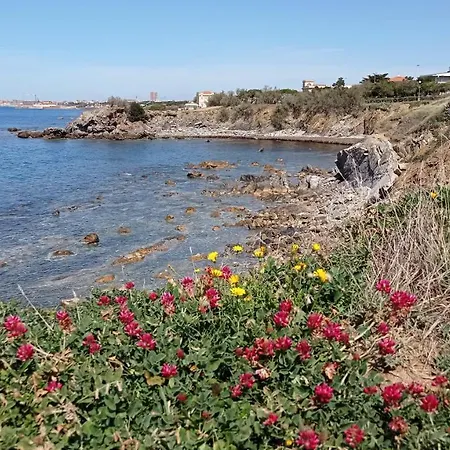 Villetta La Gabbianella * Livorno